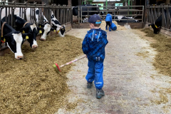 3ae29258615a282334556ac398d6fdee