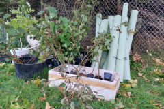 ad88c5e27447d76c5f96fdf514a518ad