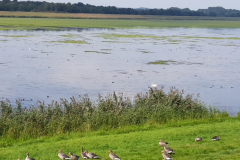 33e6dcec6aeac4d0e420cc6d86caa24b