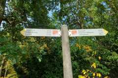 IMG-20221028-WA0021