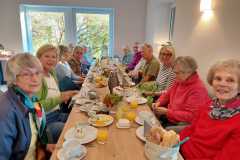 IMG-20221028-WA0061