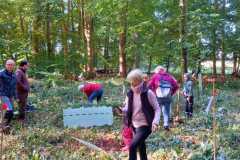 WhatsApp-Image-2022-10-03-at-19.06.20