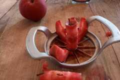 IMG-20230904-WA0036