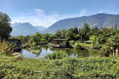 IMG-20230904-WA0072