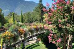 IMG-20230904-WA0073