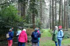 IMG-20230923-WA0015