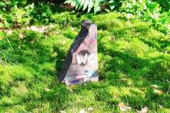 06_IMG-20240615-WA0038