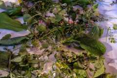 14_IMG-20240421-WA0016