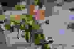 22_IMG-20240421-WA0008