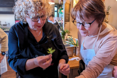 PXL_20240412_171818051.MP_