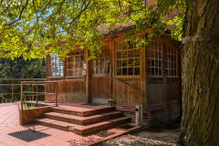 PXL_20240719_083311708
