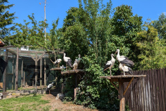 PXL_20240719_125026303