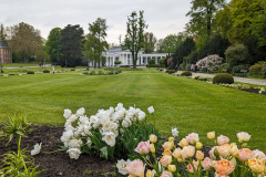 PXL_20240426_134822872