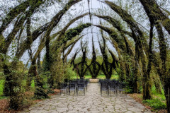 PXL_20250910_1007397502