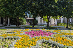 PXL_20250622_080013511
