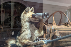 PXL_20250622_102410146