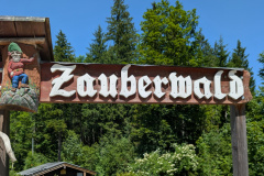 PXL_20250622_115908384.MP_