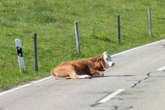 PXL_20250622_150550472