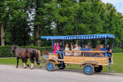 PXL_20250623_0850028172