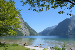 PXL_20250624_084603558.MP_