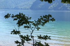 PXL_20250624_085156733