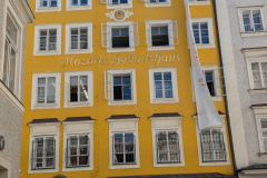 PXL_20250625_095206199.MP_