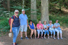 PXL_20250626_091217553.MP_