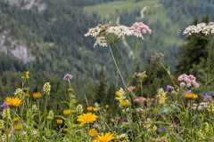 PXL_20250627_124816583.PORTRAIT