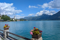 PXL_20250628_144040973.MP_