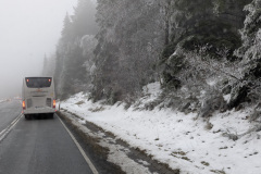 PXL_20251206_111021507