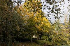 PXL_20251017_081432629-scaled