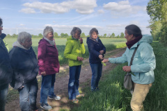 01_IMG_20250506_170516