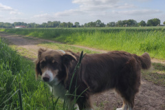 01_IMG_20250506_170648