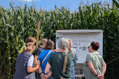 PXL_20250830_140013921.MP_