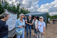 PXL_20250830_140217644