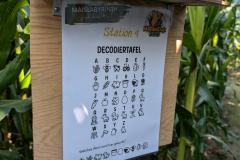 PXL_20250830_144124871