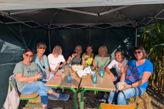 PXL_20250830_155036956