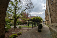 1_PXL_20250423_142646279
