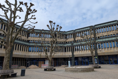 PXL_20250423_135133446
