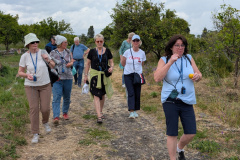 PXL_20250505_130821417.MP_