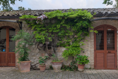 PXL_20250505_172329592