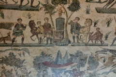 PXL_20250506_0739136532