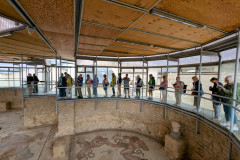 PXL_20250506_0812109242