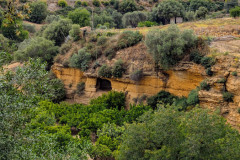 PXL_20250506_1204268362