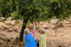 PXL_20250506_1218504312