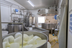 PXL_20250507_111846920