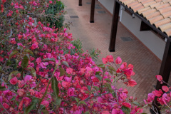 PXL_20250507_170346988