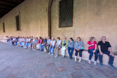 PXL_20250508_140038971