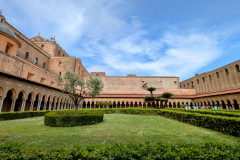 PXL_20250508_1405495992