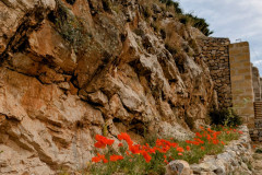 PXL_20250509_0753028172